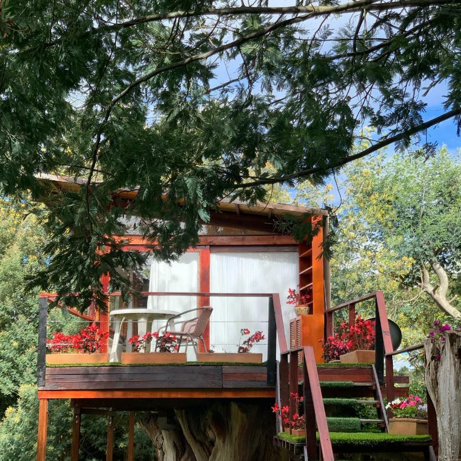 Casa en el Árbol Suesca Exterior foto